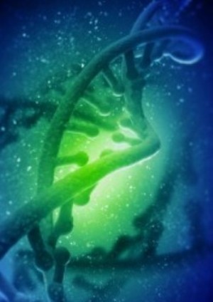 Image of BioteXcel DNA helix