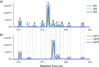 Diagram illustrating the metabolite peaks at different retention times, comparing between wild type and mutant parasites