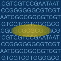 Diagram illustrating selection of a subsequence of interest from a DNA sequence