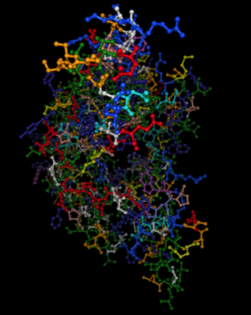 Diagram showing a sample 3D model of a protein structure